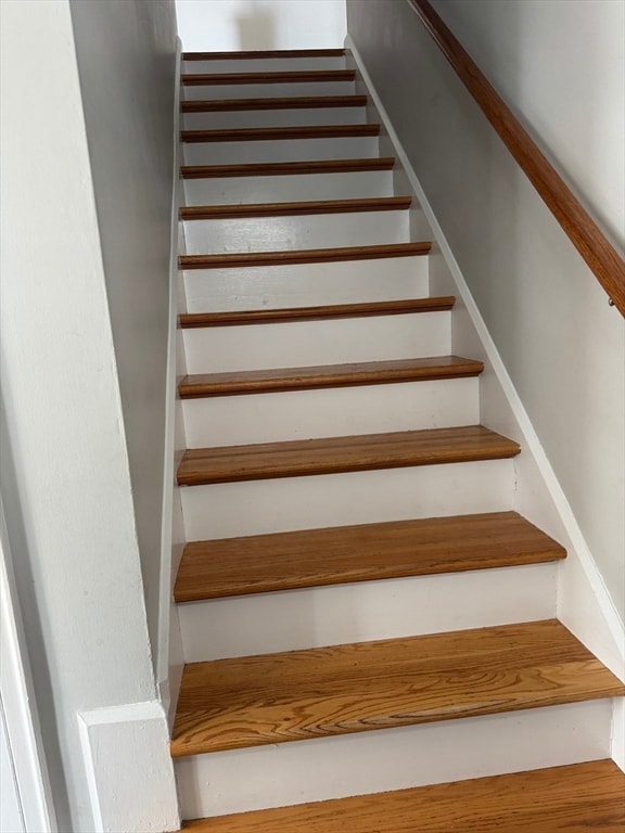 Building Photo - 19 Haringa Ave