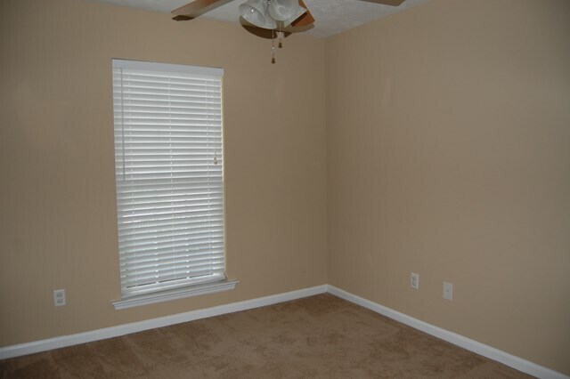 Building Photo - 219 Fox Haven Dr