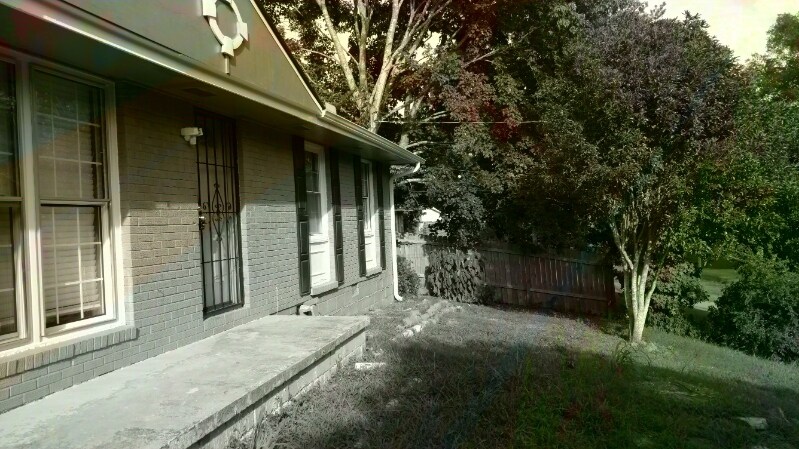 Building Photo - 7382 Ovis Ln