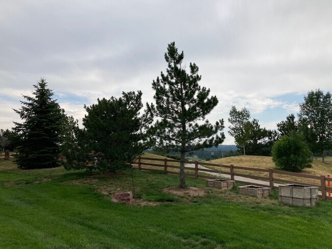 Building Photo - 2721 Crooked Vine Ct
