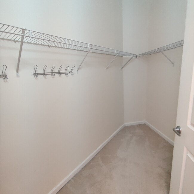 Building Photo - 309 Holland Ln