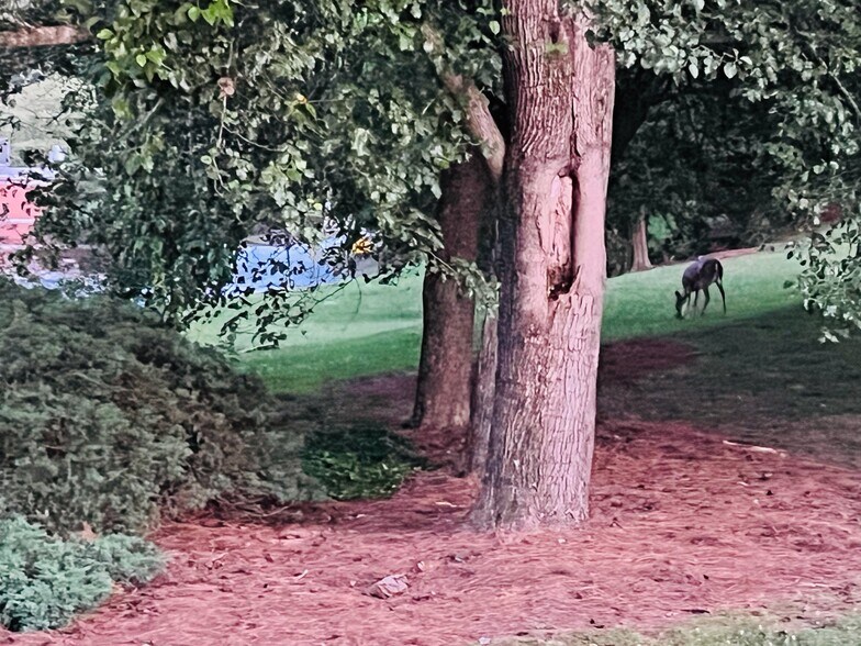 Building Photo - 574 Manning Rd SW