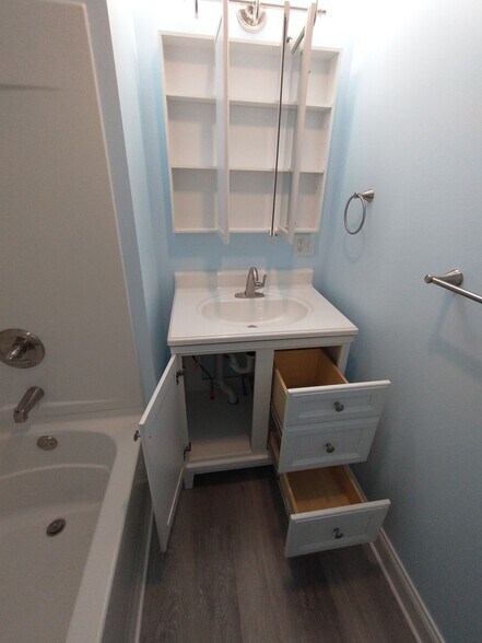Lots of bathroom storage - 35 Spring St