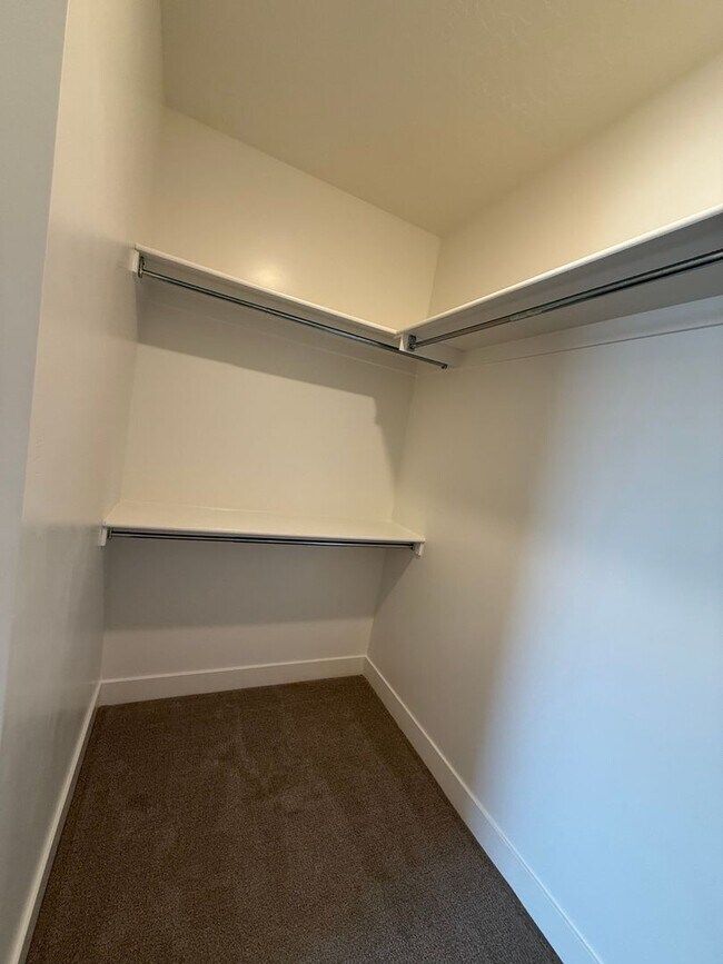 Building Photo - 2313 E Luciano Ln