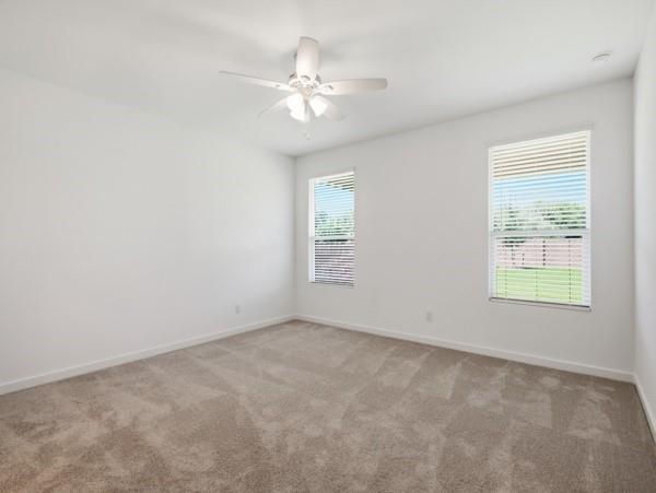 Building Photo - 7001 Camphor Ct