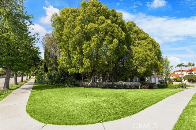 Building Photo - 779 Coral Tree Way