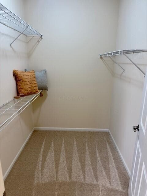 Building Photo - 4262 Bridgelane Pl