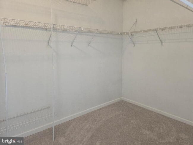 Building Photo - 705 Pine Drift Dr
