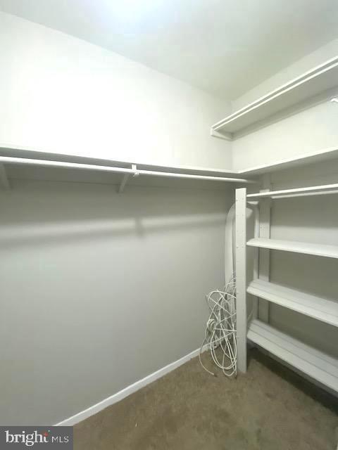 Building Photo - 12703 Dara Dr