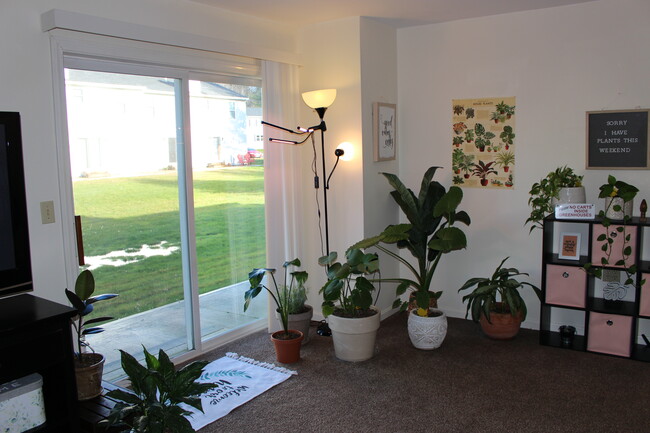 living room - 3 Macmillan Dr