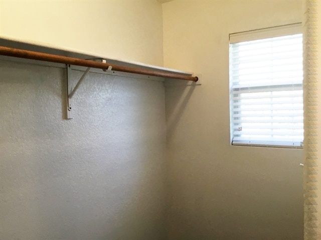 Building Photo - 3908 San Lucas Ln