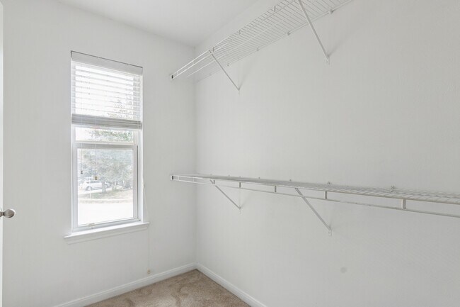 Building Photo - 7459 Tonsley Springs Dr