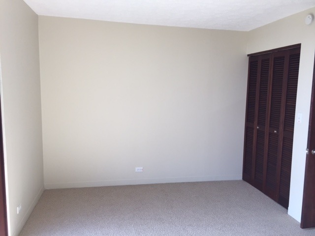 Building Photo - Newly Renovated! Punahou Area