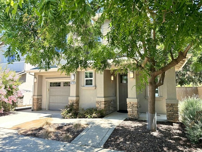 Building Photo - 4578 Blue Oak Pl