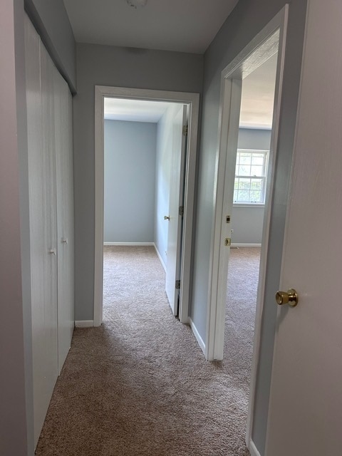 Building Photo - 1186 Greenwood Cir