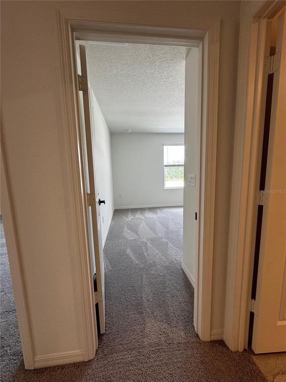 Building Photo - 3485 Sanctuary Dr