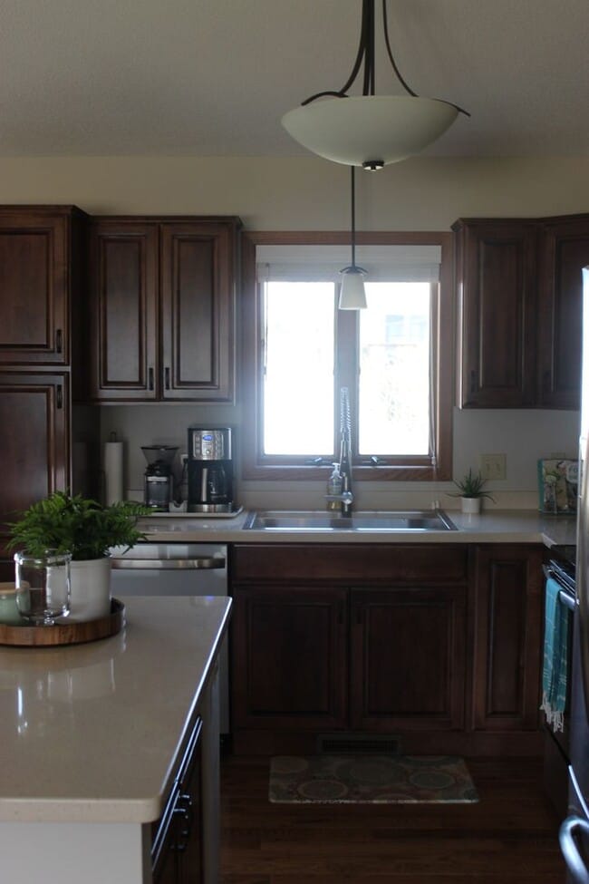 Building Photo - Main Floor Living - Updated 2021 - 5 Min from Mayo
