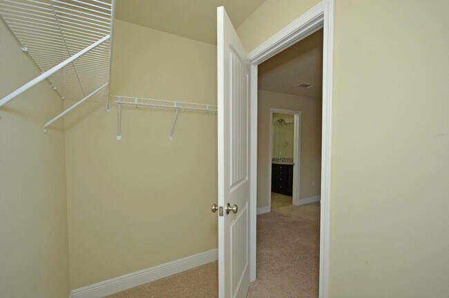 Building Photo - 2123 Wilsons Plover Cir