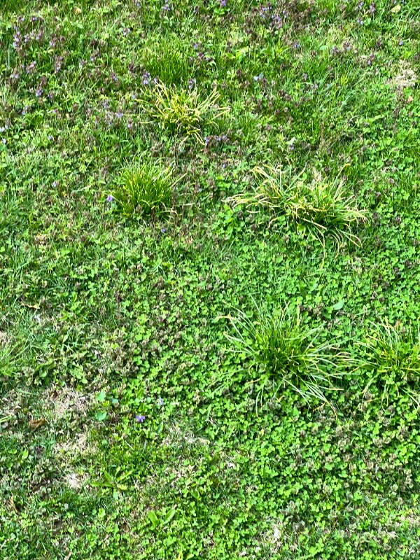 Building Photo - 448 Biddle St