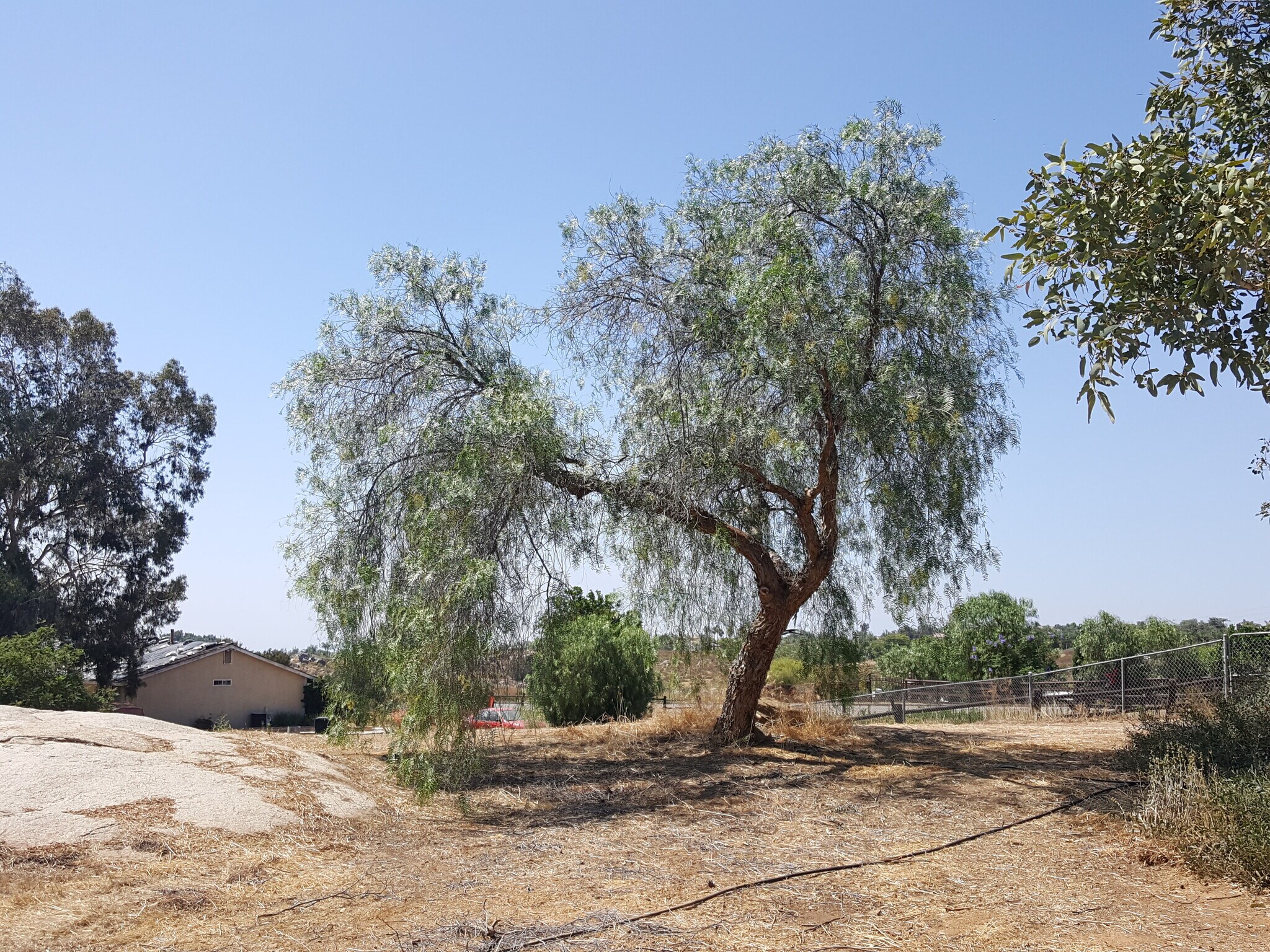 Building Photo - 18333 Harley John Rd