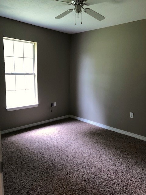 Building Photo - 65 Hidden Pointe Dr