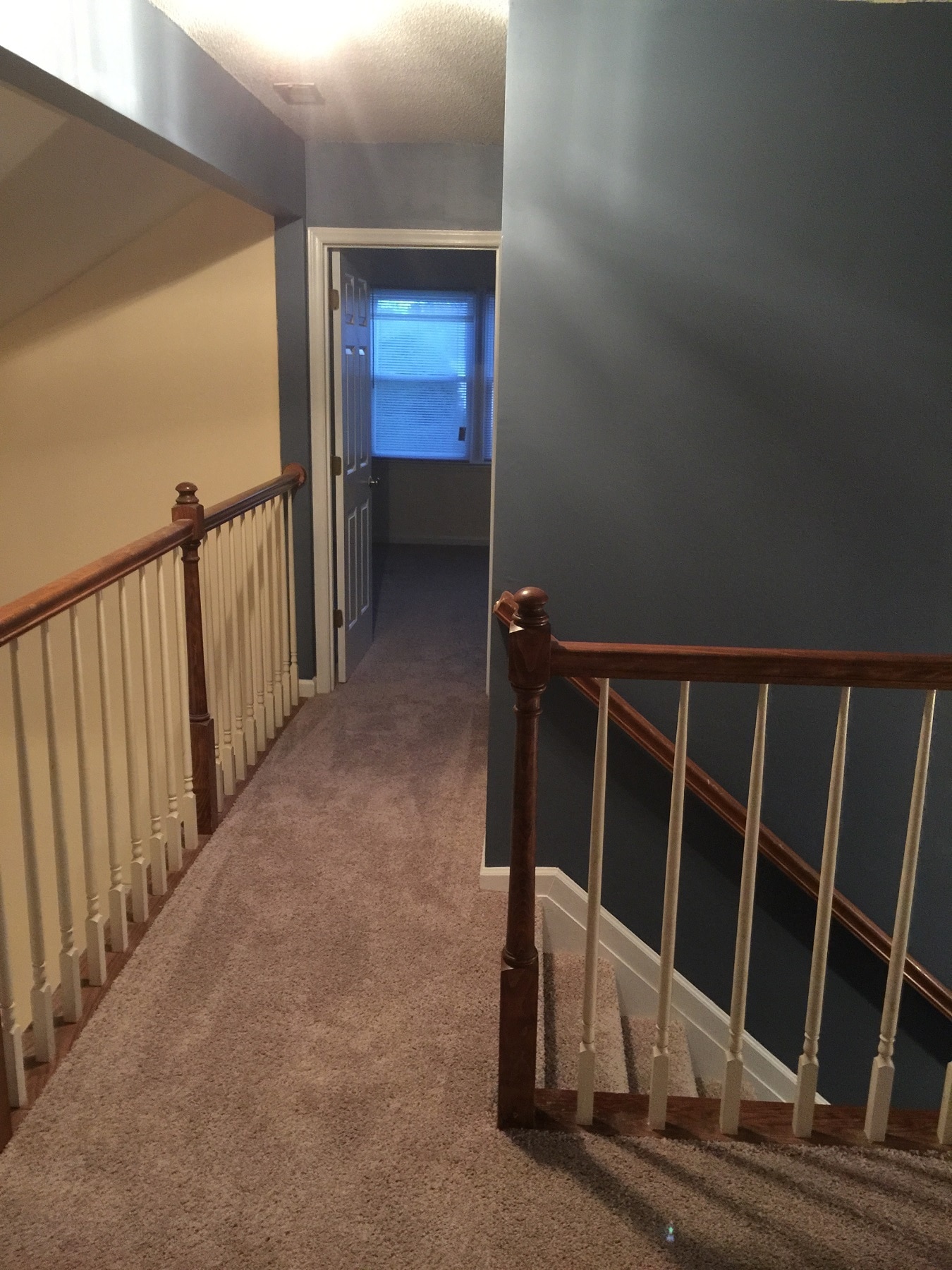 Building Photo - 3612 Calyx Ct