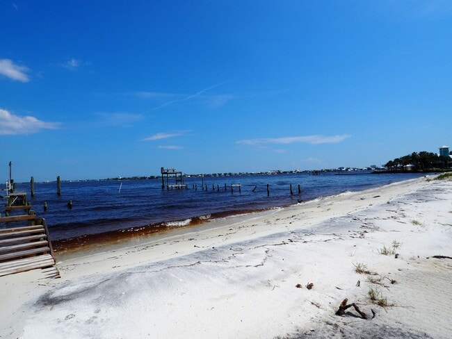 Building Photo - Dolphin watching from your own private beach!