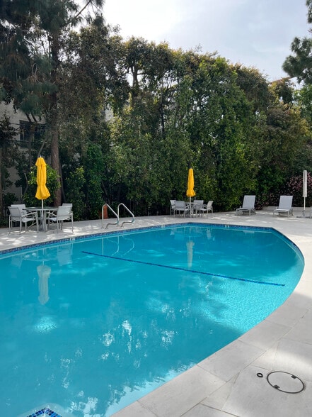 The Pool - 8530 Holloway Dr