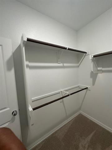 Building Photo - 3205 Kiskadee Ct