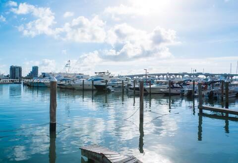 Building Photo - 1717 N Bayshore Dr