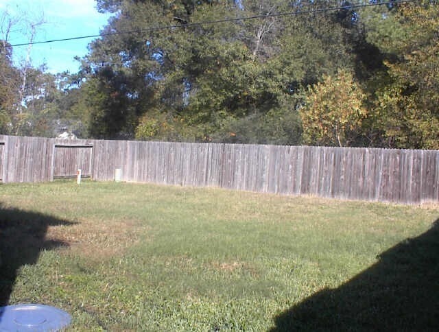 Building Photo - 22018 Willow Shadows Dr