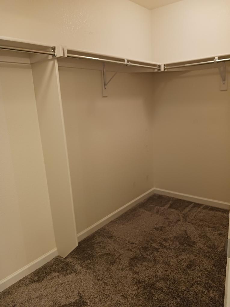 Building Photo - 4815 Hahns Peak Dr