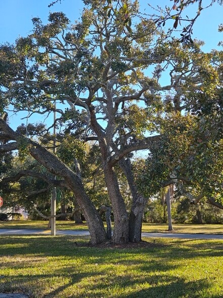 Building Photo - 129 Camphor Cir