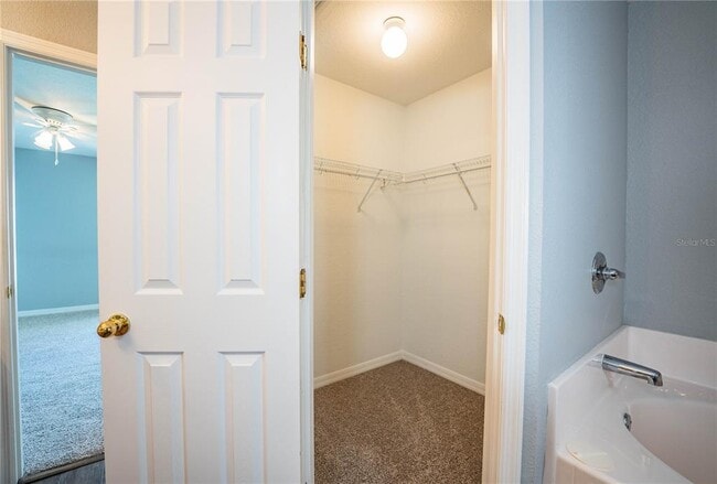 Building Photo - 233 Towhee Rd