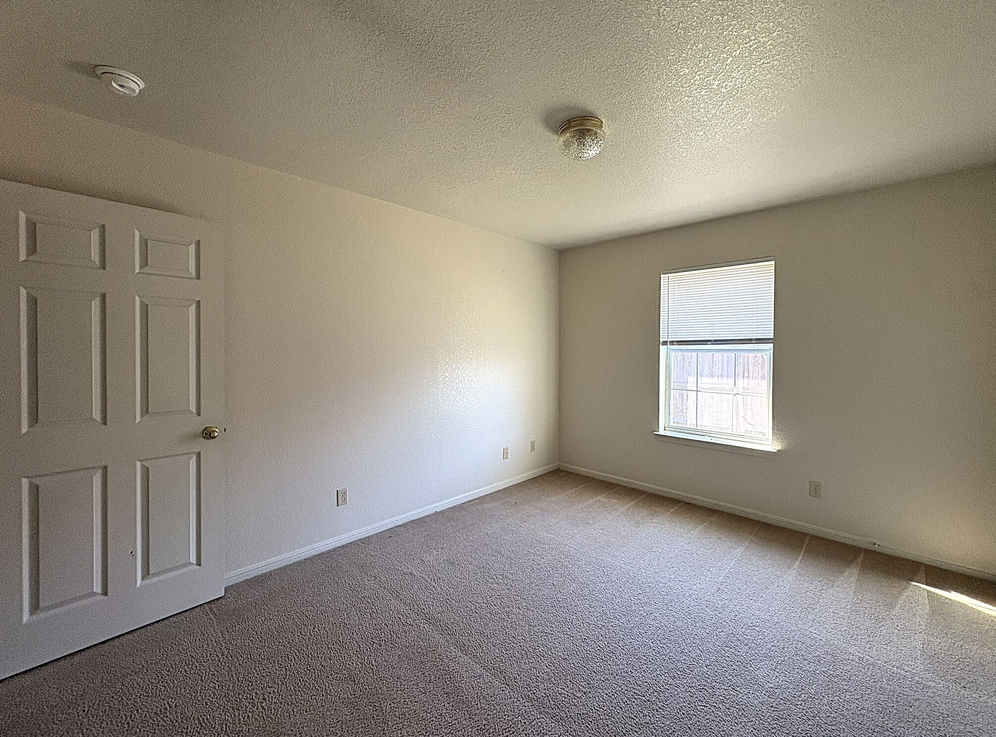 Building Photo - 2703 Vernice Loop