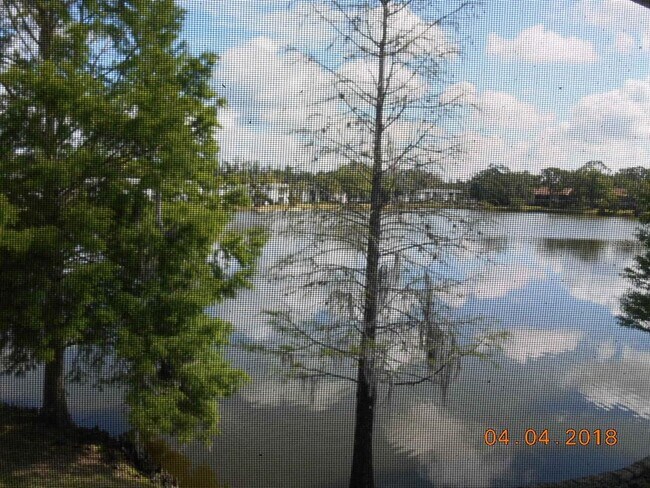Building Photo - 284 Woodlake Wynde