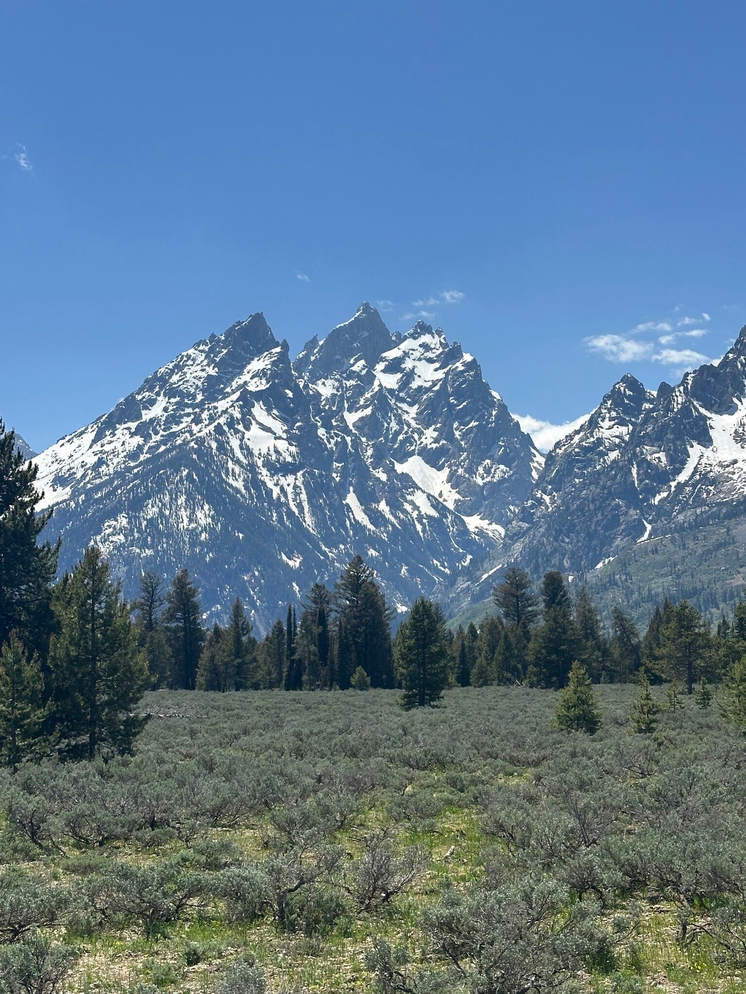 The Tetons, in full view - 1525 W Pinto Dr