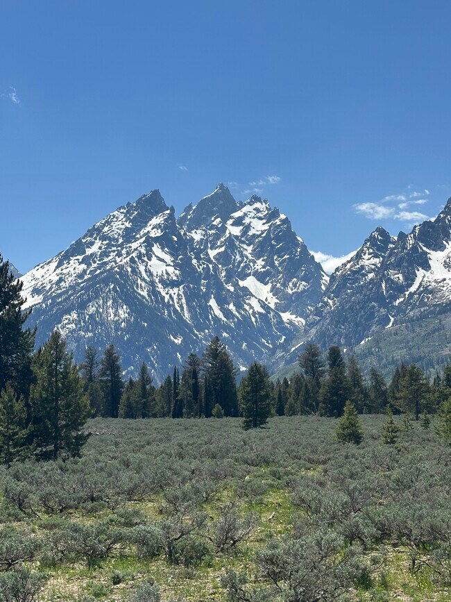 The Tetons, in full view - 1525 W Pinto Dr