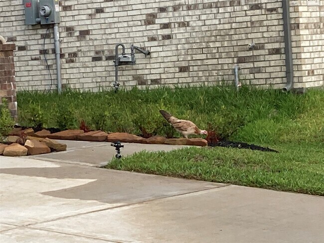 Building Photo - 22826 Ephesus Ave