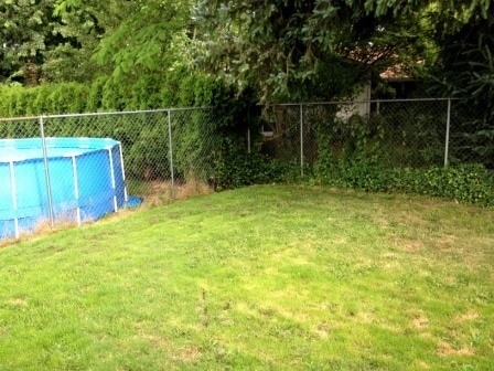 Building Photo - Beautifully Updated 4-Bedroom Home with Large Fenced Yard & Fire Pit