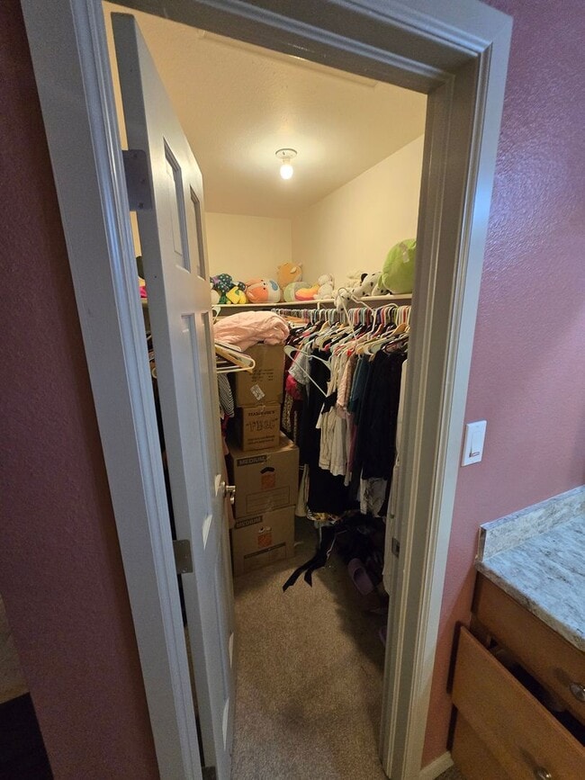 Building Photo - 1541 Adriel Ct