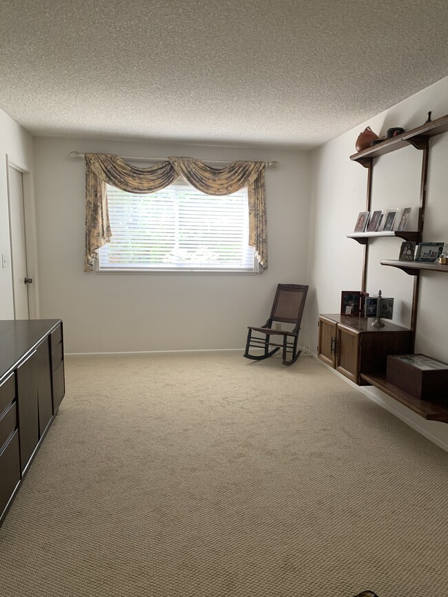 Downstairs Den/Bedroom on path to Kitchen - 8561 Windlass Dr