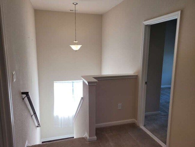 Building Photo - 509 Ackerman Ln