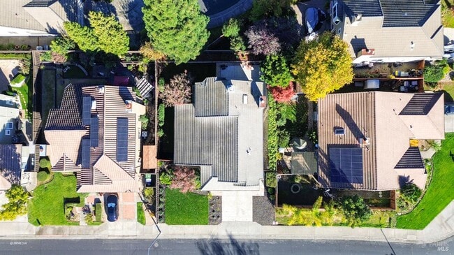 Building Photo - 517 Leafhaven Ln