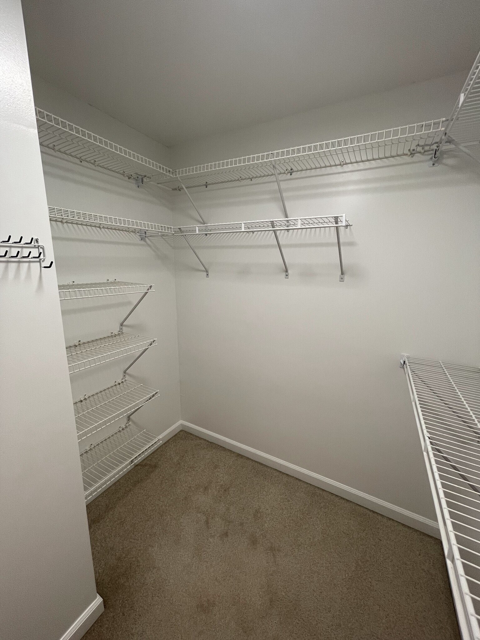 Walk-in closet with shoe storage (on left) - 4204 Whistler Ct