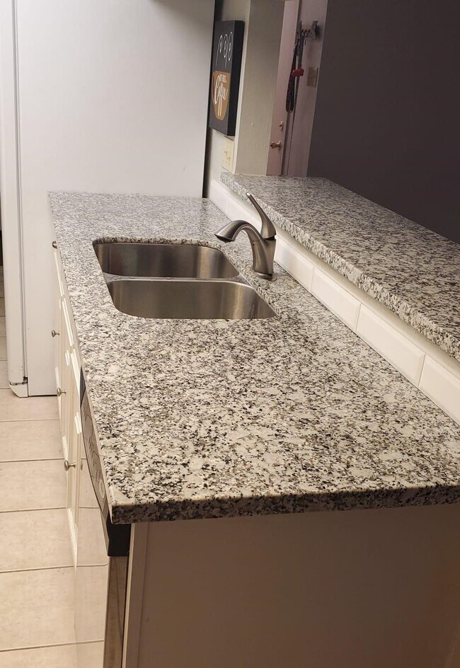 Building Photo - 39 S White Pebble Ct