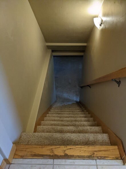 Downstairs - 5335 Brookview Dr