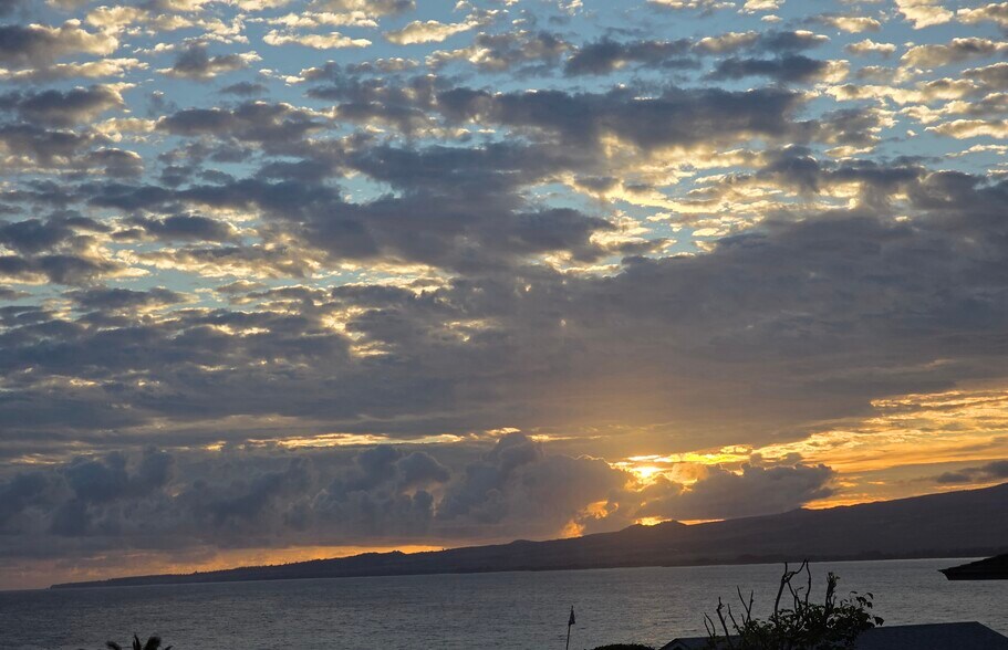 Building Photo - 1367 Kakae Pl