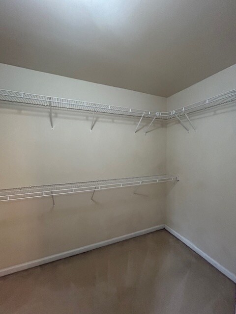 Building Photo - 1305 Red Cedar Trl