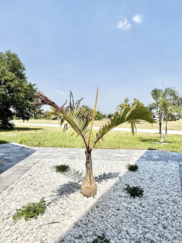 Building Photo - 20 Coxswain Dr